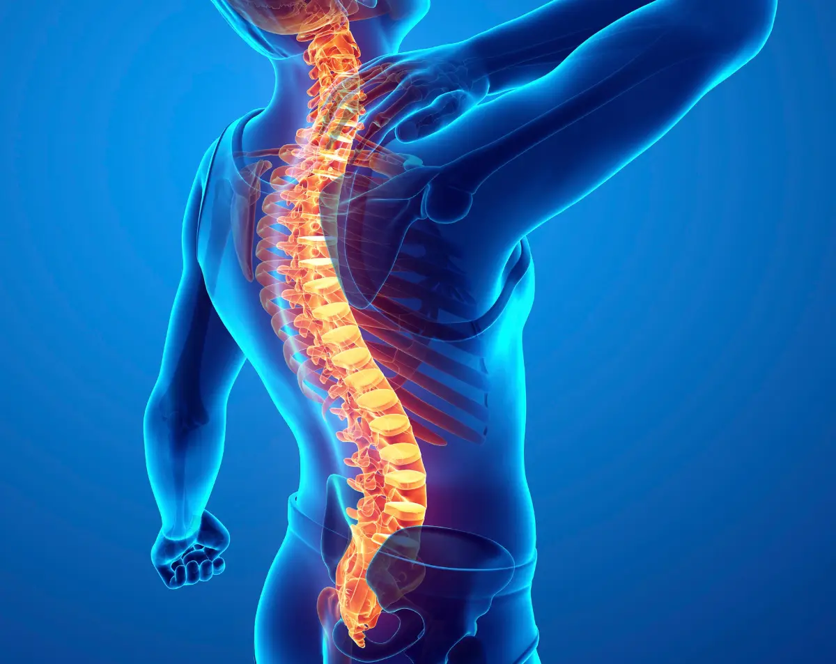 Human spine illustration highlighting back pain, relevant to chronic back pain and sleep issues discussed in healthcare articles.