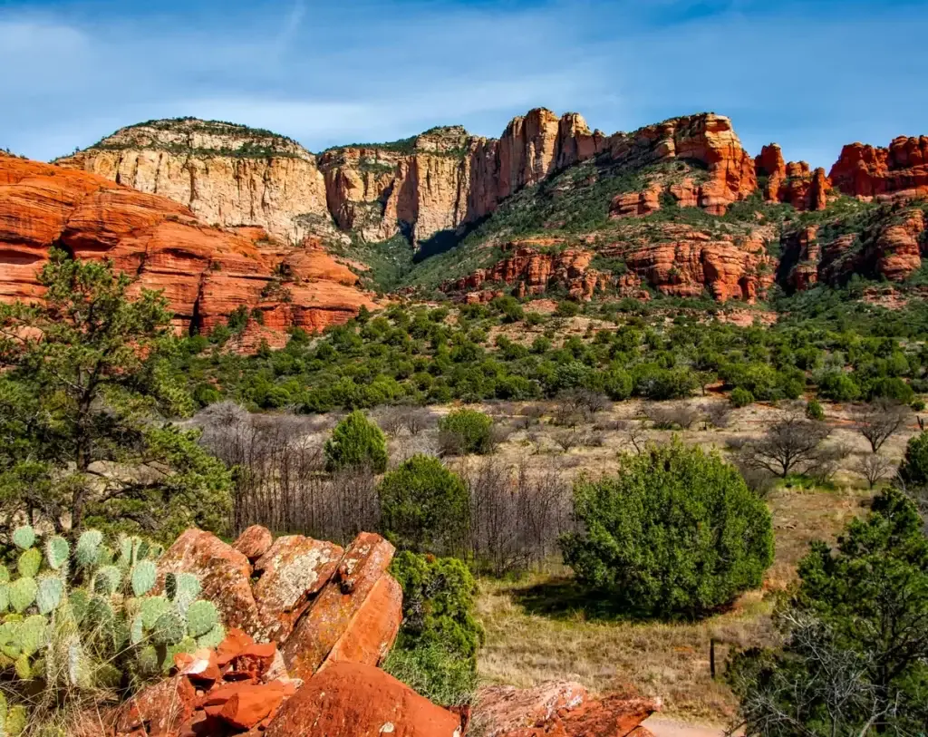 Buckeye Landscape Image 01