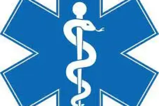 Caduceus Image 02