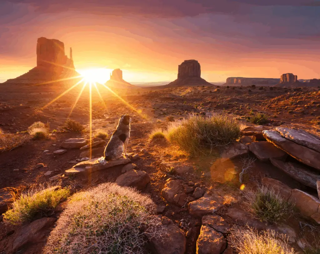 Mesa Landscape Image 02