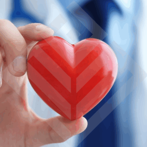 Elite Cardiac Screening Package